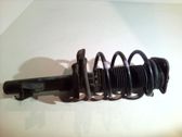 Front shock absorber with coil spring