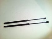 Tailgate/trunk strut/damper