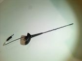 Radion antenni