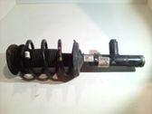 Front shock absorber with coil spring