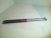 Tailgate/trunk strut/damper