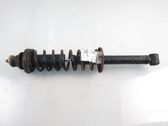 Rear shock absorber with coil spring