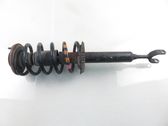 Front shock absorber with coil spring