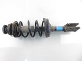 Front shock absorber with coil spring