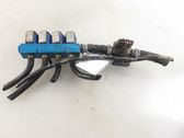 LP gas injectors set