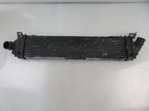 Radiador intercooler