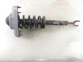 Front shock absorber with coil spring