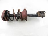 Front shock absorber with coil spring