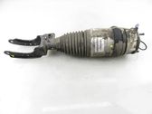 Front shock absorber/damper