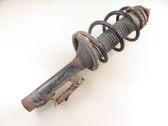 Front shock absorber with coil spring