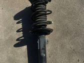Front shock absorber/damper