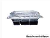 Engine control unit/module ECU