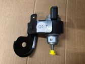 Webasto auxiliary heater fuel pump