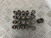Nuts/bolts