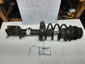 Front shock absorber/damper