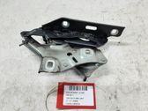 Bisagras del capó/tapa del motor