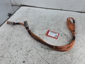 Cable de carga del coche eléctrico