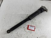 Rear shock absorber/damper