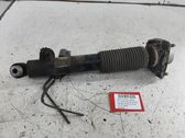 Rear shock absorber/damper