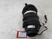 Stoßdämpfer hinten
