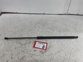 Amortiguador/puntal del capó/tapa delantero