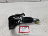 Tailgate/trunk/boot hinge