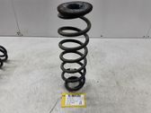 Rear coil spring
