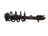 Front shock absorber/damper