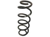 Muelle espiral trasero