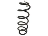 Muelle espiral trasero