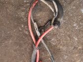 Kabel Lichtmaschine