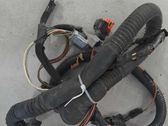 Front door wiring loom