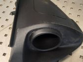 Dashboard trim
