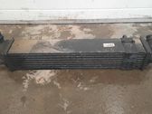 Intercooler radiator