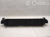 Intercooler radiator