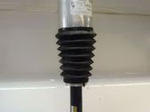 Rear shock absorber/damper