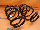 Muelle espiral trasero