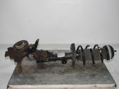 Front shock absorber with coil spring
