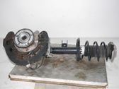 Amortiguador delantero con muelle espiral