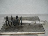 Amortiguador delantero con muelle espiral