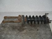 Amortiguador delantero con muelle espiral