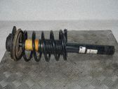 Amortiguador delantero con muelle espiral