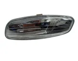 Front fender indicator light