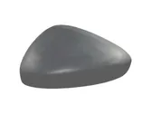 Front door wing mirror part