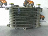 Radiador intercooler