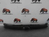 Front grill