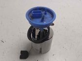 Kraftstoffpumpe im Tank