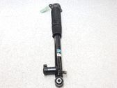 Stoßdämpfer hinten
