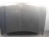 Motorhaube
