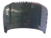 Engine bonnet/hood